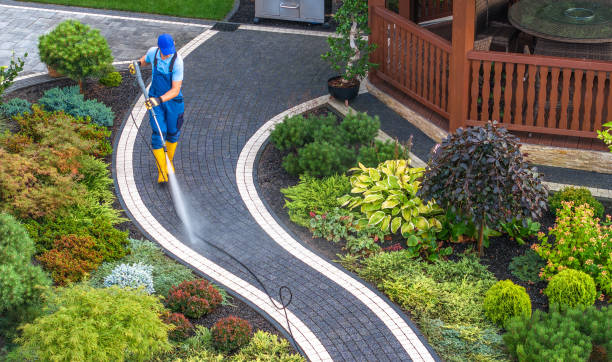 Best Exterior Home Cleaning  in Laureles, TX